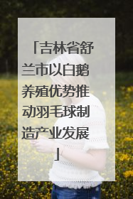 吉林省舒兰市以白鹅养殖优势推动羽毛球制造产业发展