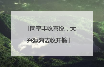 同享丰收喜悦，大兴瀛海麦收开镰