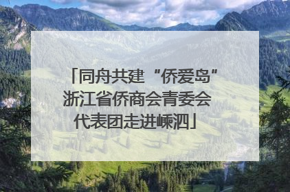 同舟共建“侨爱岛” 浙江省侨商会青委会代表团走进嵊泗