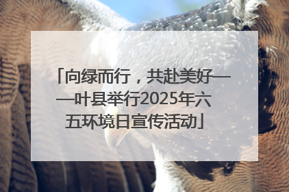 向绿而行，共赴美好——叶县举行2025年六五环境日宣传活动