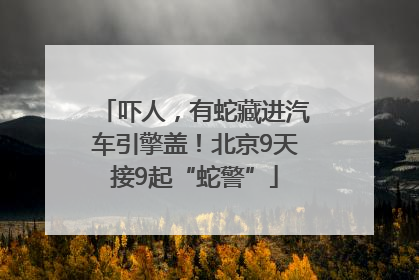 吓人，有蛇藏进汽车引擎盖！北京9天接9起“蛇警”