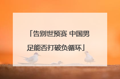 告别世预赛 中国男足能否打破负循环