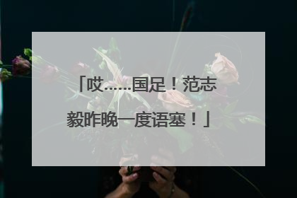 哎……国足！范志毅昨晚一度语塞！