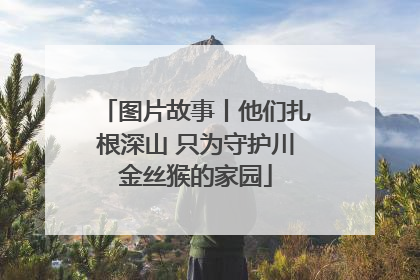 图片故事丨他们扎根深山 只为守护川金丝猴的家园