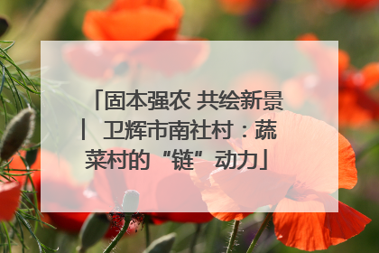 固本强农 共绘新景 ︳卫辉市南社村：蔬菜村的“链”动力