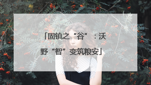 固镇之“谷”：沃野“智”变筑粮安