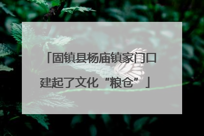 固镇县杨庙镇家门口建起了文化“粮仓”