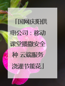 国网庆阳供电公司：移动课堂播撒安全种 云端服务浇灌节能花