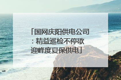 国网庆阳供电公司：精益巡检不停歇 迎峰度夏保供电