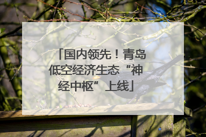 国内领先！青岛低空经济生态“神经中枢”上线