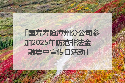 国寿寿险漳州分公司参加2025年防范非法金融集中宣传日活动