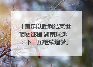 国足以胜利结束世预赛征程 湖南球迷：下一届继续追梦