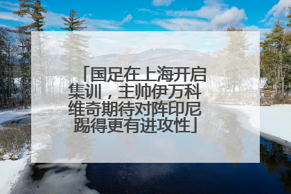 国足在上海开启集训，主帅伊万科维奇期待对阵印尼踢得更有进攻性