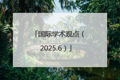 国际学术观点（2025.6）