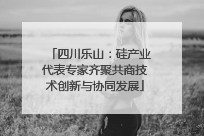 四川乐山：硅产业代表专家齐聚共商技术创新与协同发展