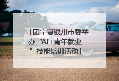 团宁夏银川市委举办“AI+青年就业”技能培训活动