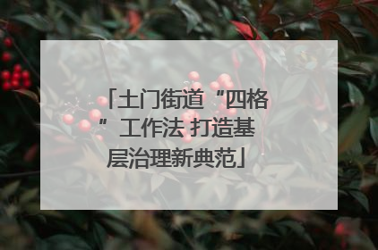土门街道“四格”工作法 打造基层治理新典范