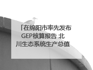 在绵阳市率先发布GEP核算报告 北川生态系统生产总值达590亿元｜新闻发布最前线