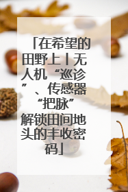 在希望的田野上丨无人机“巡诊”、传感器“把脉” 解锁田间地头的丰收密码