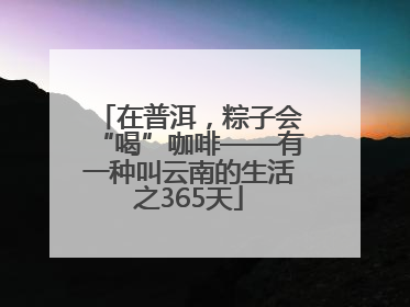 在普洱，粽子会“喝”咖啡——有一种叫云南的生活之365天