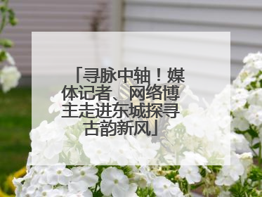 寻脉中轴！媒体记者、网络博主走进东城探寻古韵新风