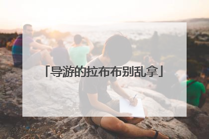 导游的拉布布别乱拿