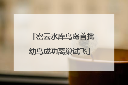 密云水库鸟岛首批幼鸟成功离巢试飞