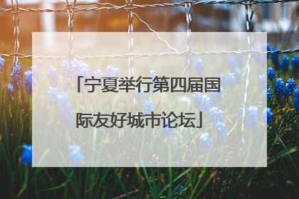 宁夏举行第四届国际友好城市论坛