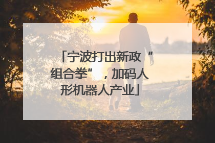 宁波打出新政“组合拳”，加码人形机器人产业