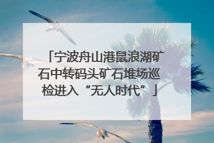 宁波舟山港鼠浪湖矿石中转码头矿石堆场巡检进入“无人时代”