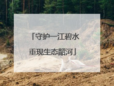 守护一江碧水 重现生态韶河