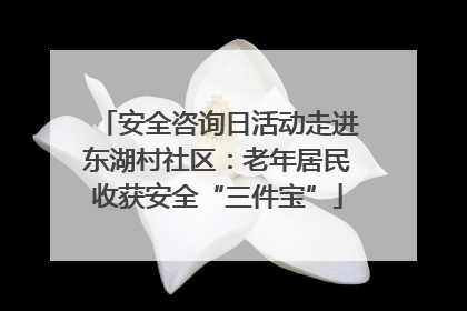 安全咨询日活动走进东湖村社区：老年居民收获安全“三件宝”