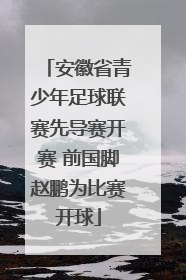 安徽省青少年足球联赛先导赛开赛 前国脚赵鹏为比赛开球