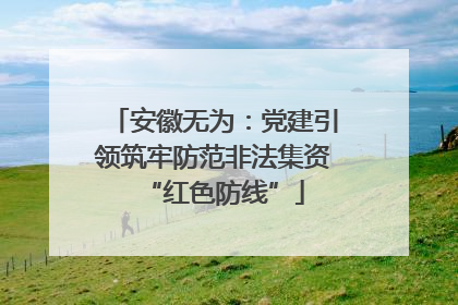安徽无为：党建引领筑牢防范非法集资“红色防线”
