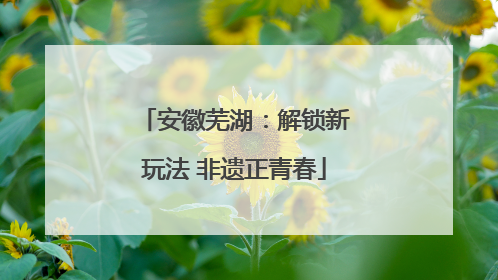 安徽芜湖：解锁新玩法 非遗正青春