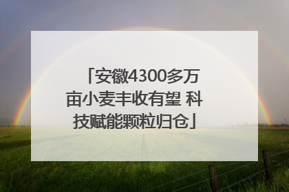 安徽4300多万亩小麦丰收有望 科技赋能颗粒归仓