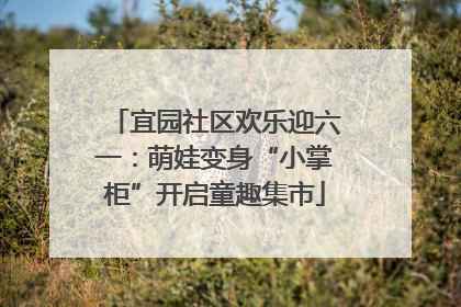 宜园社区欢乐迎六一：萌娃变身“小掌柜”开启童趣集市