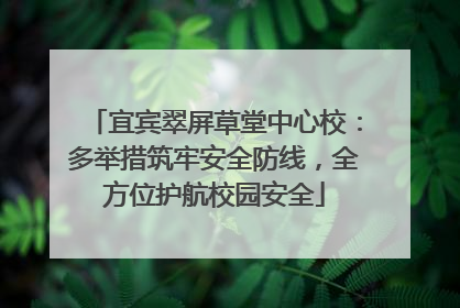 宜宾翠屏草堂中心校：多举措筑牢安全防线，全方位护航校园安全