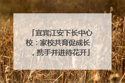 宜宾江安下长中心校：家校共育促成长，携手并进待花开