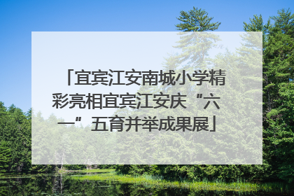宜宾江安南城小学精彩亮相宜宾江安庆“六一”五育并举成果展