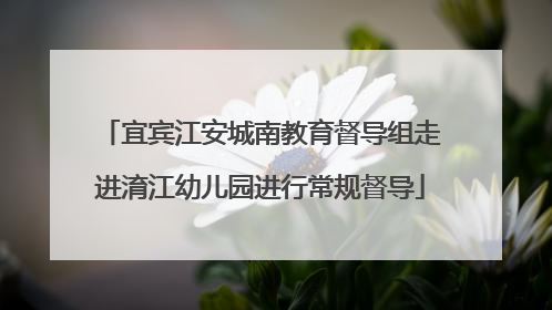 宜宾江安城南教育督导组走进淯江幼儿园进行常规督导