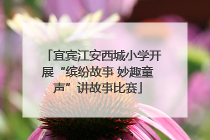 宜宾江安西城小学开展“缤纷故事 妙趣童声”讲故事比赛