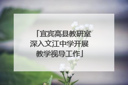 宜宾高县教研室深入文江中学开展教学视导工作