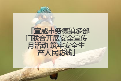 宣威市务德镇多部门联合开展安全宣传月活动 筑牢安全生产人民防线