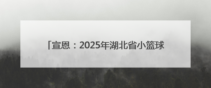 宣恩：2025年湖北省小篮球超级联赛（恩施赛区）圆满落幕