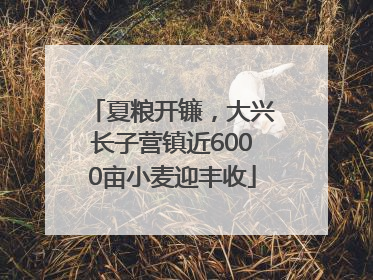 夏粮开镰，大兴长子营镇近6000亩小麦迎丰收