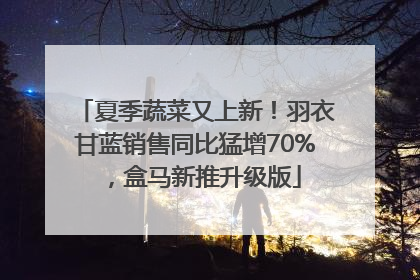 夏季蔬菜又上新！羽衣甘蓝销售同比猛增70%，盒马新推升级版