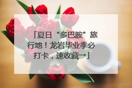 夏日“多巴胺”旅行地！龙岩毕业季必打卡，速收藏→