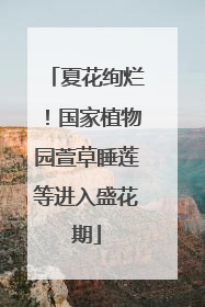 夏花绚烂！国家植物园萱草睡莲等进入盛花期