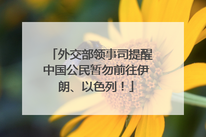 外交部领事司提醒中国公民暂勿前往伊朗、以色列！